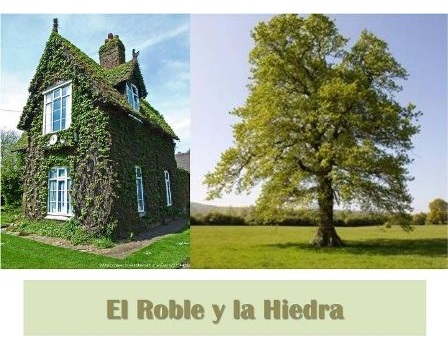 El roble y la hiedra