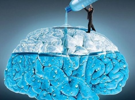 ¿Sabías que ... el cerebro está compuesto en su mayoría por agua?