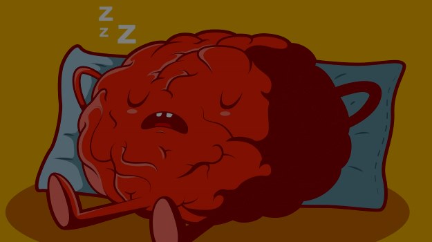 ¿Sabías que ... siempre que dormimos, soñamos?