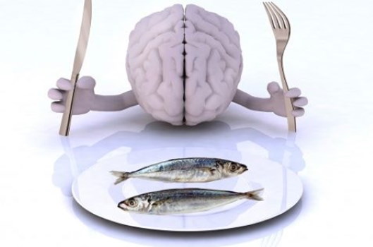 ¿Sabías que ... el Omega 3 rejuvenece tu cerebro?