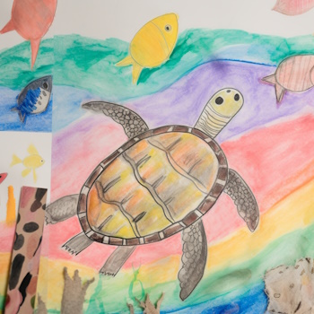 Dibujo infantil de tortuga nadando con peces